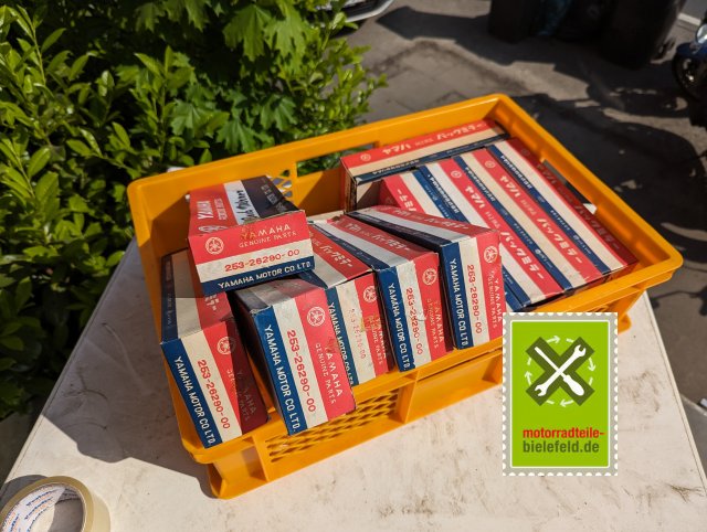 PXL_20240510_142556124